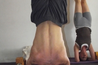 קורס מורים 2009-2012