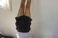 קורס מורים 2009-2012